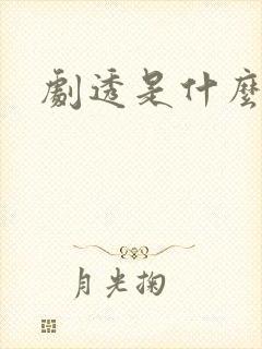 剧透是什么意思