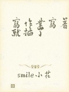 写作业写着写着就插了