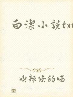 白洁小说txt