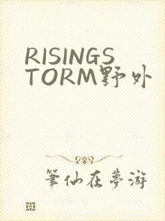 RISINGSTORM野外