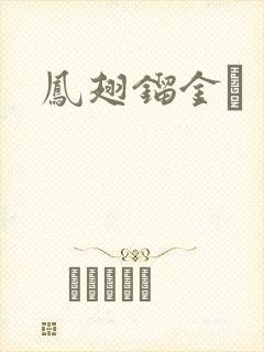 凤翅镏金镋封面