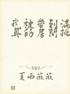 我被带到满是玩具的房间挑调游戏