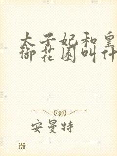 太子妃和皇帝在御花园叫什么小说