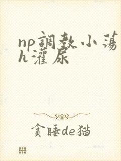 np调教小荡货h灌尿