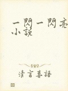 一闪一闪亮星星小说