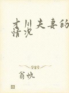 才川夫妻的恋爱情况