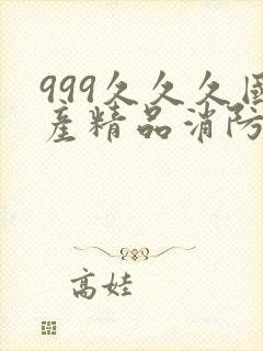 999久久久国产精品消防器材