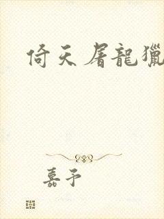 《倚天屠龙猎艳记》小说封面