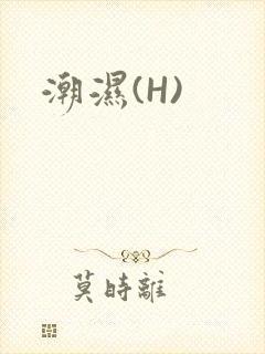 潮湿(H)
