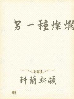 另一种灿烂生活