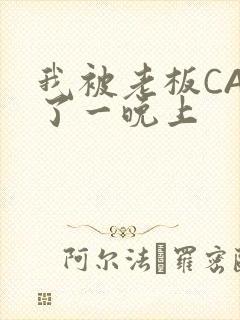 我被老板CAO了一晚上