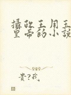 摄政王用玉髓整皇帝的小说