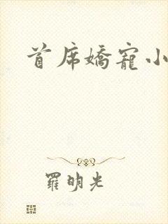 首席娇宠小情人