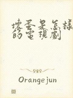 坏蛋是怎样炼成的电视剧