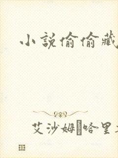 小说偷偷藏不住