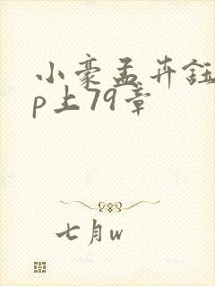 小豪孟卉钰慧三p上79章