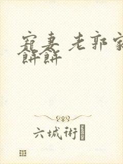 宠妻 老郭家的饼饼