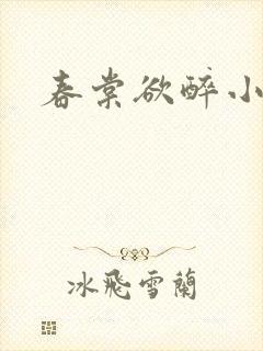 春棠欲醉小说封面