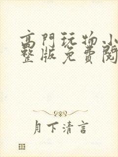 高门玩物小说完整版免费阅读