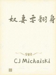 奴妻要翻身封面