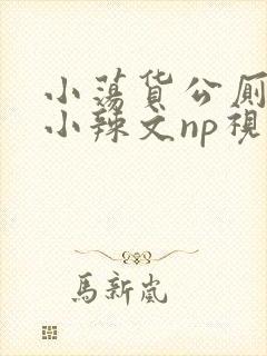 小荡货公厕h文小辣文np视频