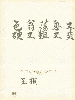 色翁荡息又大又硬又粗又爽小莹