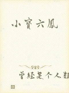 小宝六凤