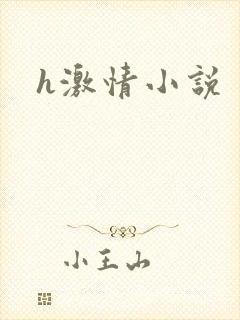 h激情小说