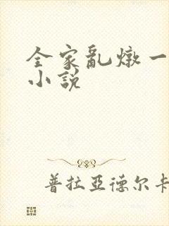 全家乱炖一锅烩小说