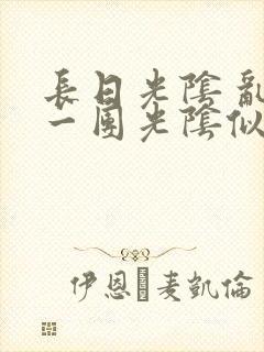 《长日光阴 乱作一团光阴似箭》小说封面