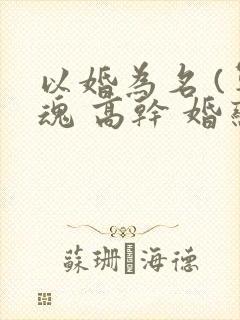 以婚为名 (军魂 高干 婚恋)