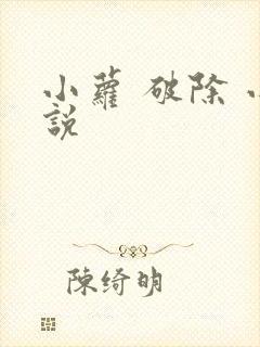 小萝 破除 小说