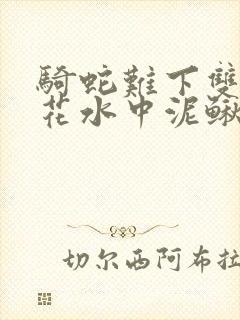 骑蛇难下双金银花水中泥鳅