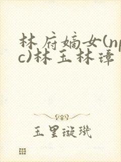 林府嫡女(npc)林玉林璋