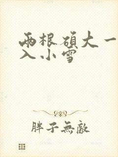 两根硕大一起挤入小雪