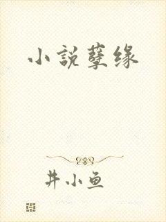 小说孽缘