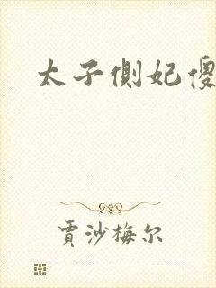 太子侧妃傻乎乎