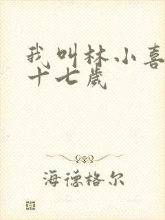 我叫林小喜今年十七岁