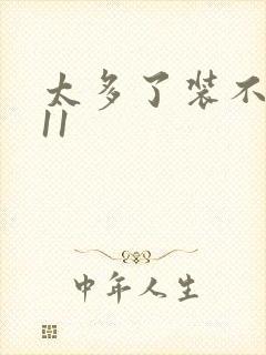 太多了装不下H11