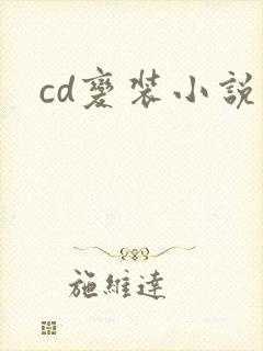 cd变装小说