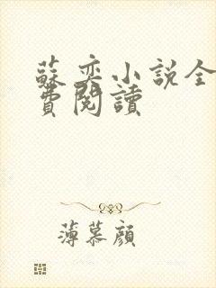 苏奕小说全文免费阅读