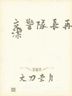 交警队长再遇白洁