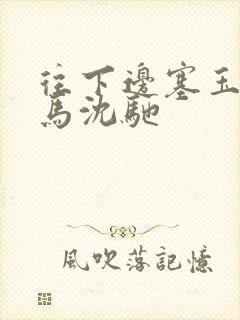 往下边塞玉器骑马沈驰