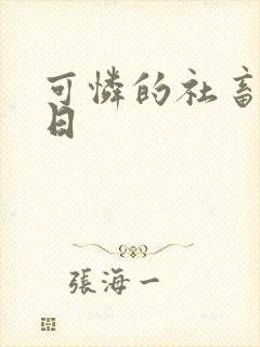 可怜的社畜东度日