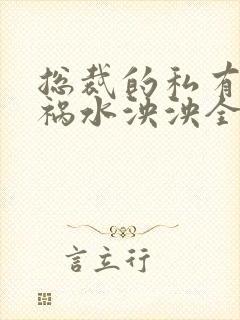 总裁的私有宝贝祸水泱泱全文阅读