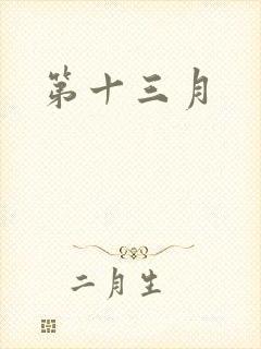 第十三月封面