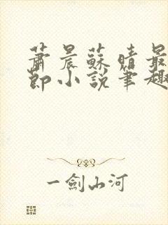 萧晨苏晴最新章节小说笔趣阁