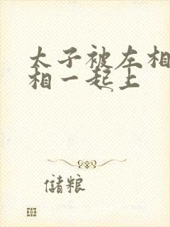 太子被左相和右相一起上