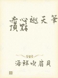 赤心巡天笔趣阁顶点