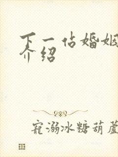 下一站婚姻剧情介绍